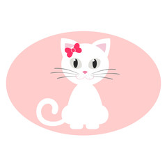romantic cute kitten white sitting