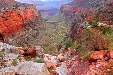 Fototapete Schlucht Bright Angel Trail Grand Canyon