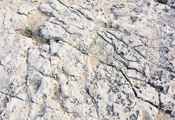 Fototapeta premium Textured limestone background