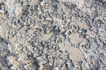 Textured limestone background