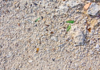 Textured limestone background