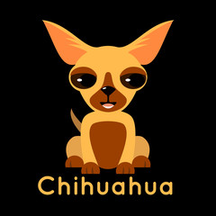 Flat vector image of Chihuahua