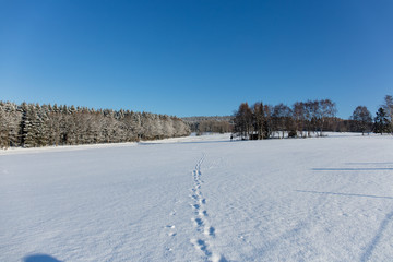Fototapeta na wymiar winterlandschaft