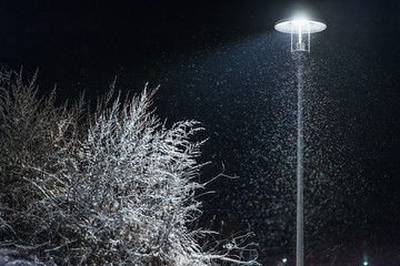Lampione con luce   che illumina i fiocchi di neve che cadono  e un cespuglio imbiancato 