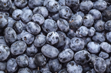 blueberry background eating, food freshness fruit gourme