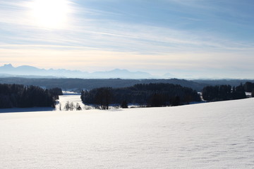 Winterlandschaft - Alpen im Hintergrund