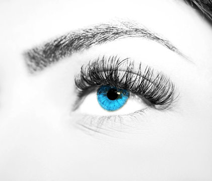Woman blue eyes with extremely long eyelashes