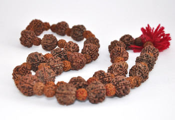 Tibetan bead-Rudraksha