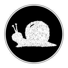 Simple doodle of a snail