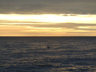 Obraz premium Small boat in the sea at sunset