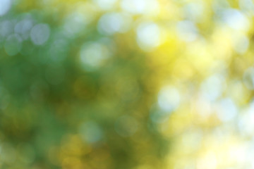 Blurred autumn background