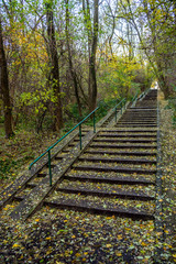 Long concrete stairs in forrest park at autumn covered by leafs