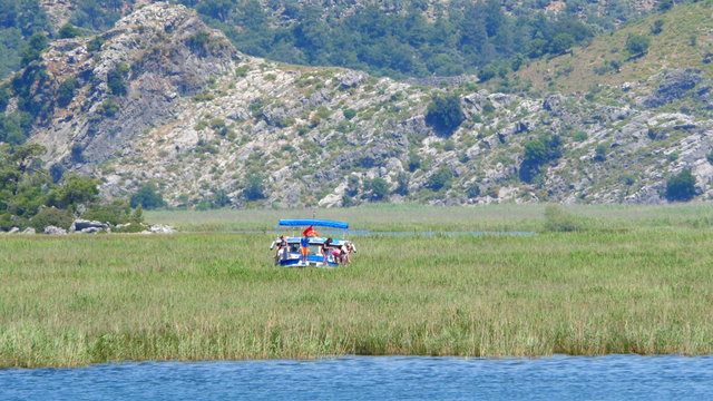 boat tour river reeds, historical dalyan, ortaca, koycegiz, turkey