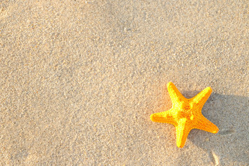Fototapeta na wymiar Starfish on sand at beautiful beach.
