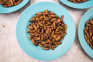 Asian fried insect, Laos