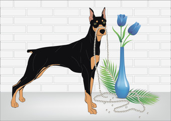 Doberman dog and tulip flower isolated with brick background vector illustration graphic design