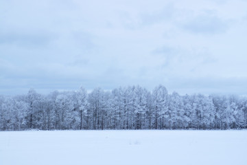 冬の風景　Winter image in Hokkaido Japan