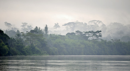 Sangha River. Morning fog on the African river Sangha. Congo. - obrazy, fototapety, plakaty