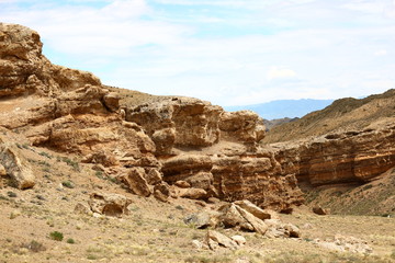 Fototapeta premium Пустыня