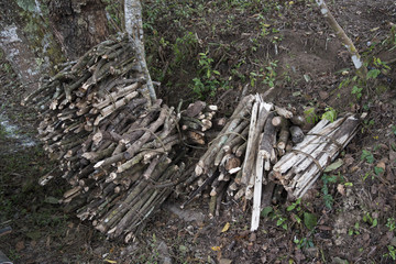 Stack of wood