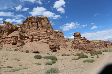 Fototapeta premium На страже