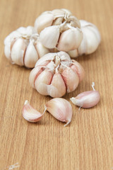Garlic on the wooden background