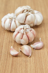 Garlic on the wooden background