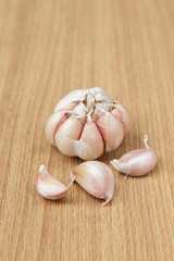 Garlic on the wooden background