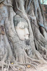 Head Buddha in the tree roots,At Wat Mahathat temple,ayutthaya,thailand
