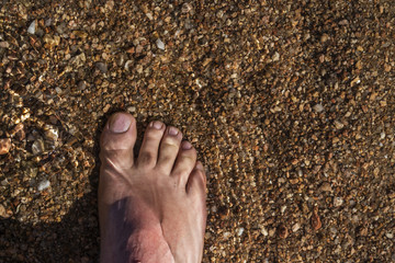 holiday image in nature...