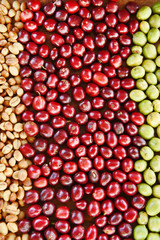 Coffe beans and fresh berries beans backgourng