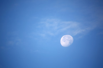 Naklejka na ściany i meble blue sky with moon