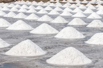 Salt farm in Thailand