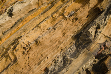 the texture of natural stone