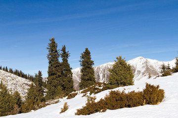 Winter in the mountains