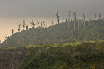 One year after volcanic eruption 