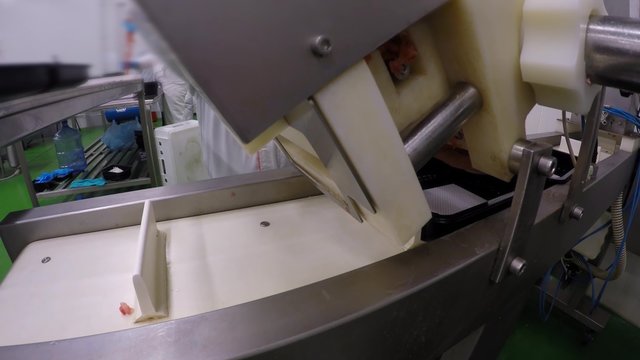 Making Kebab in Meat Processing Plant