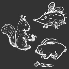 Vector illustration hand drawn chalk animals set