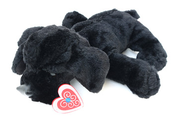 black doll dog on valentine day