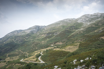 Fototapeta na wymiar Heathlands in Saliencia Valley, Somiedo Nature Reserve. It is located in the central area of the Cantabrian Mountains in the Principality of Asturias in northern Spain