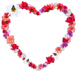 Beautiful heart made of different flowers on white background