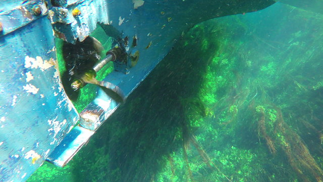 boat trip, reeds, bizarre underwater of azmak river, turkey.