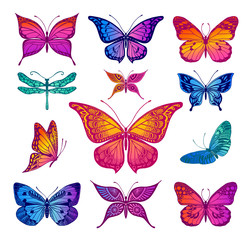 Naklejka na ściany i meble Butterflies graphic illustration