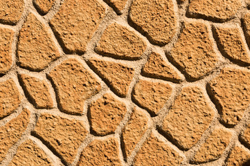 Giraffe Texture Wall