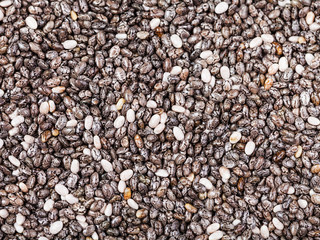 dry seeds of Chia (salvia hispanica) plant