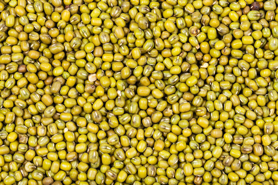 many raw green mung beans