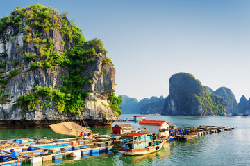 Floating fishing village, the Ha Long Bay, Vietnam