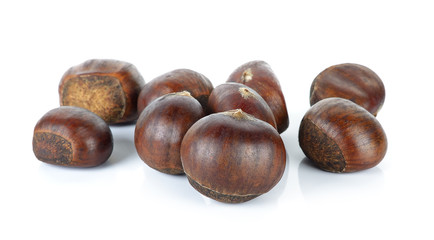 Chestnut isolated on the white background