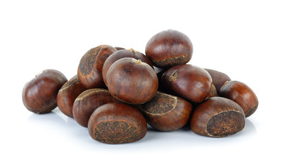 Chestnut isolated on the white background