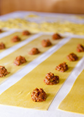 Making tasty italian pasta, Ravioli, grandi, for stuffing is used organic vegetables, step by step process, selective focus